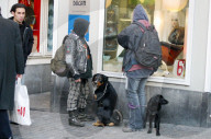 Punks mit Hunden
