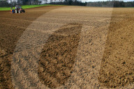Landwirtschaft  Kartoffelfeld