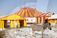 Circus Nock  Schweiz