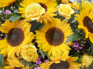 Blumenstrauss  Sonnenblumen  Rose