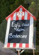 Egli aus dem Bodensee