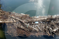 Unrat, Abfall und Holz im Wasser