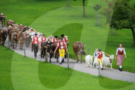 Appenzeller Bauern in Tracht