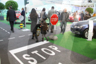  Car Show Zuerich
