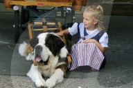 Folklore Schweiz Bernhardiner  Hund