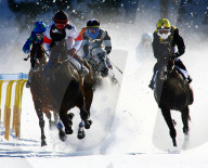Pferderennen auf Schnee White Turf St. Moritz Flachrennen