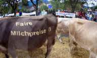 Viehschau  Appenzell 