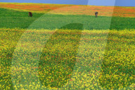 Landschaft  Marokko