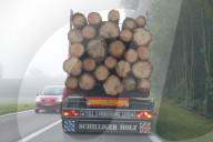 Herbst , Nebel, Holztransport
