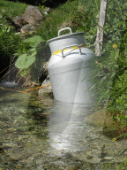 Kühlung der Alpmilch in einem Bergbach, Milchkanne, 2005