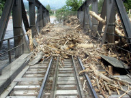 Unwetter Schweiz 2005: Treibholz, Eisenbahnbrücke, Aufräumarbeiten