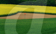 Landwirtschaft .Der Bauer als Kuenstler