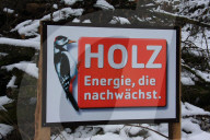 Holz, Energie ,die nachwaechst