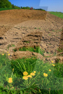 Landwirtschaft Ackerbau. Ausgetrocknete Erde