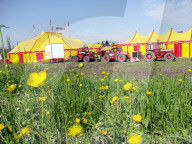 Zirkus Monti in Windisch, 2005