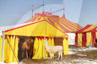 Circus Nock  Schweiz