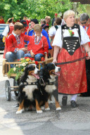 Folklore Schweiz Berner Sennenhund 