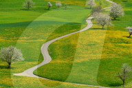 Fruehling, Kurvenreiche Strasse