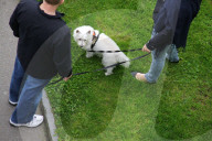 Hundebesitzer 