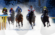 Pferderennen auf Schnee White Turf St. Moritz Flachrennen