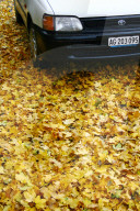 Herbst Laub auf Strasse