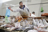 Fischverkaeufer  Tanger   Marokko