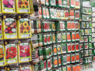 Blumen und Gemuesesamen