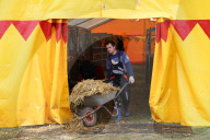 Tierpfleger mit Schubkarre Mist   Circus Nock