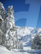Winterlandschaft , Tannen voll Schnee