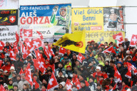 Schweizer Skifans Riesenslalom Adeboden, 