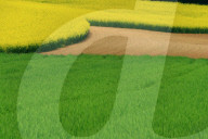 Landwirtschaft .Der Bauer als Kuenstler