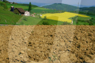 Trockenheit. Ackerbau