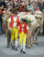Viehschau  Appenzell