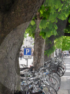 Fahrraeder