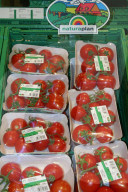 Bio-Tomaten im Coop Supermarkt in Wettingen, 2004