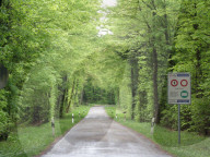 Unbewachter Grenzübergang bei Schaffhausen, 2005