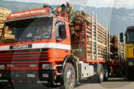 Strassenverkehr,  Holztransport,