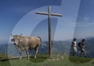 GIPFELKREUZ VIEH VIEHZUCHT NATUR LANDSCHAFT LANDWIRTSCHAFT BERG WANDERER STILLE ERHOLUNG STRESS FERIEN SCHWEIZ BERGE