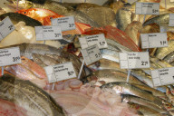Fischabteilung im Coop in Wettingen, 2004