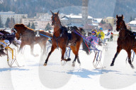Pferderennen auf Schnee White Turf St.Moritz Traberennen