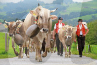 Appenzeller Bauern in Tracht