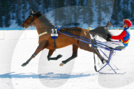Pferderennen auf Schnee White Turf St.Moritz Traberennen