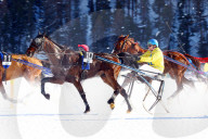 Pferderennen auf Schnee White Turf St.Moritz Traberennen