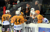Trainer  Philippe Bozon 