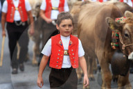 Viehschau  Appenzell 