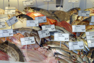 Fischabteilung im Coop in Wettingen, 2004