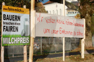 Viehschau  Appenzell