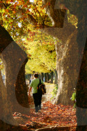 Herbstwanderung im Tessin