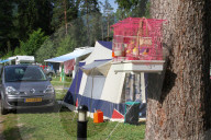Vogelkaefig 