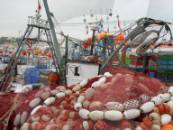 Fischerboote  Marokko